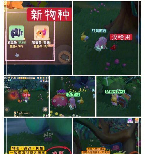 《摩尔庄园手游》新手攻略——快速成为游戏高手（从零开始，教你打造自己的庄园乐园）
