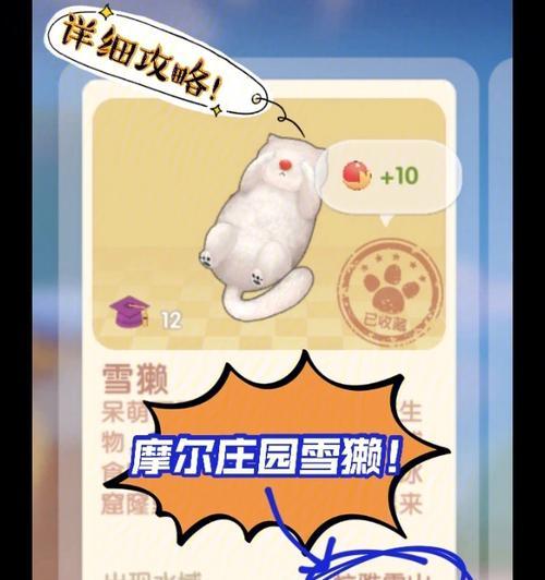 摩尔庄园手游钓鱼攻略（雪獭在哪里钓？玩家必须知道的钓鱼技巧）