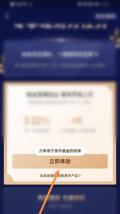 球会黑卡（掌握获得黑卡的方法）