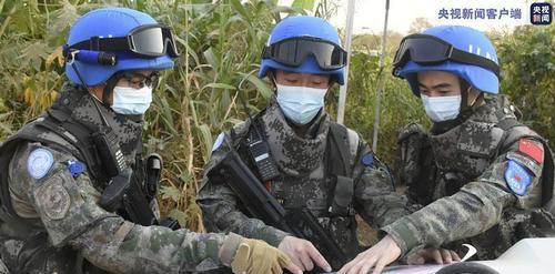 全面战争（探究武装步兵斧枪在不同作战环境中的表现）