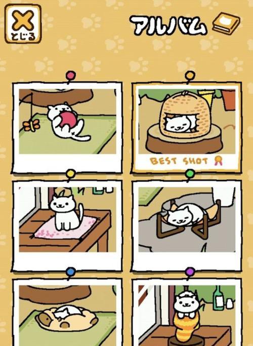 如何在后院拍摄完美的猫咪照片（拍摄技巧详解）