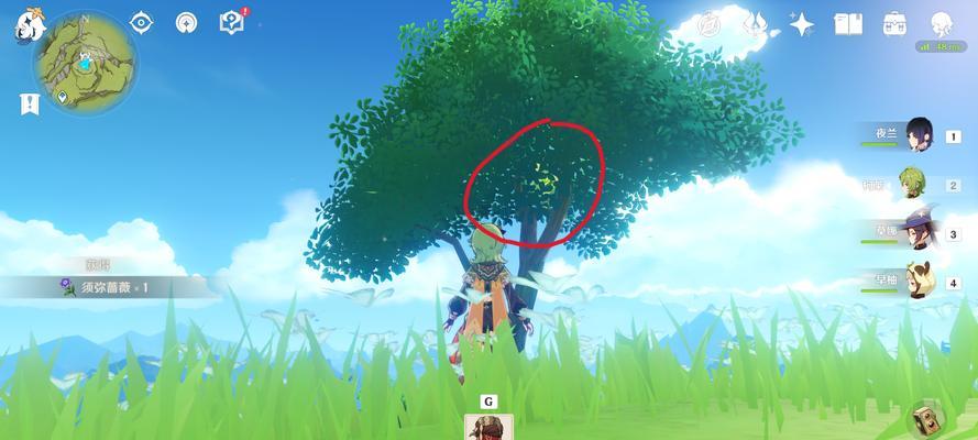 《原神》草神武器选择攻略（草神武器对比分析）