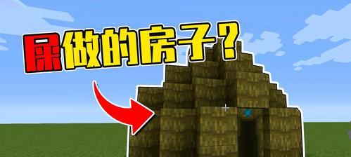《我的世界》前期生存简易堡垒攻略（如何快速建造一座简单但有效的堡垒）