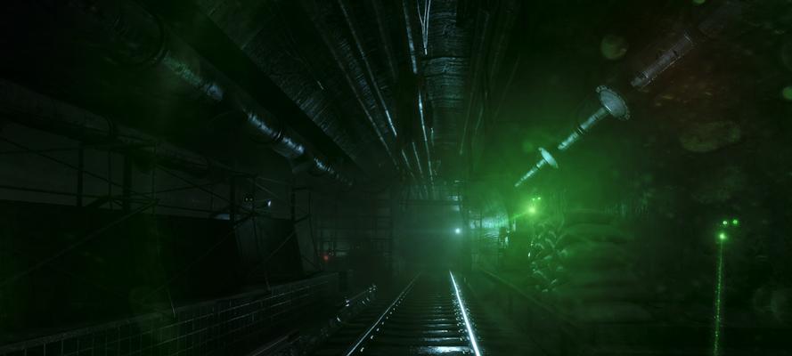 《地铁2033》游戏中各物种介绍（探索末日世界中的生物多样性）