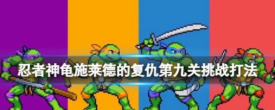 忍者神龟（体验忍者战斗技能）