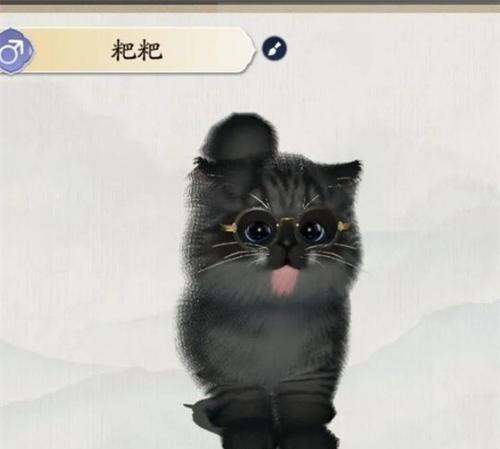 胖姐与三只猫的奇幻大冒险（游戏中的探险之旅）