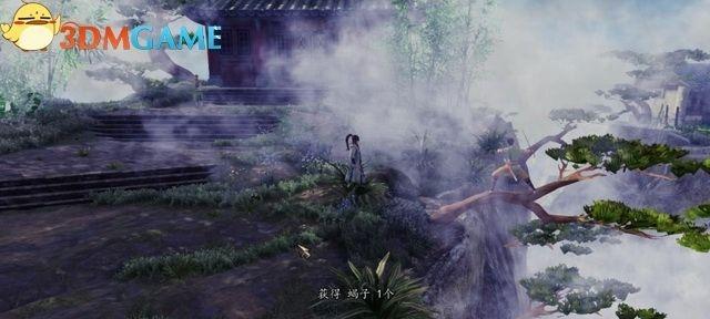 《以柴堆任务流程攻略》（柴堆全剧情任务流程攻略）