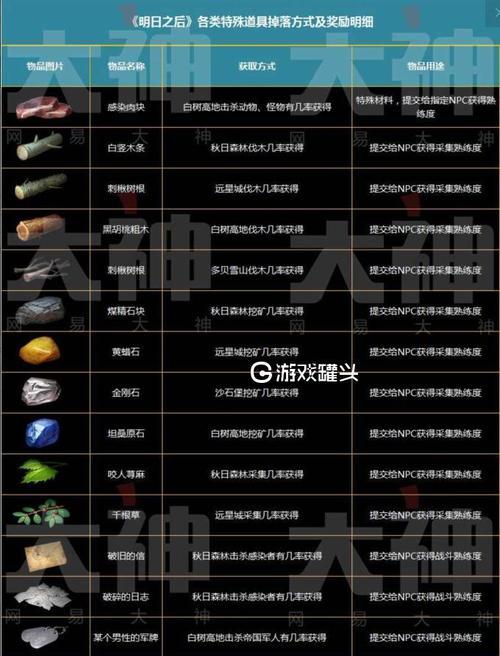 《明日之后》圣诞限定料理效果及获取方法（探索圣诞料理的神奇效果与烹饪秘籍）