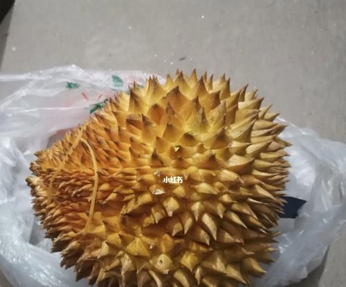 魔兽世界中的神秘榴莲（探索魔兽世界中榴莲的秘密）