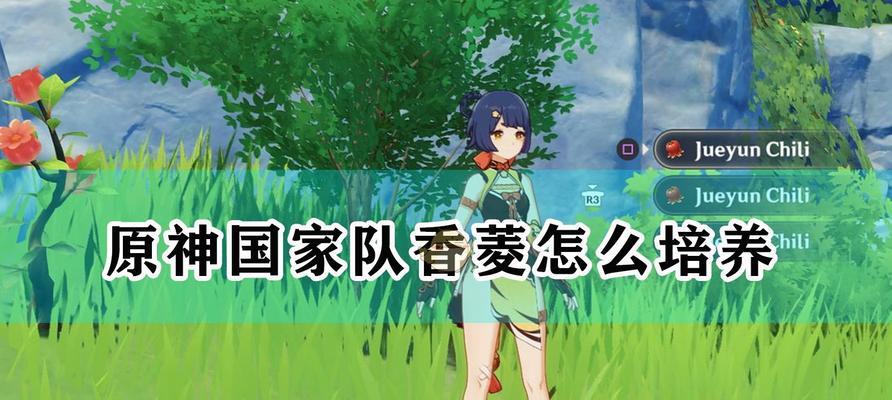 原神手游国家队阵容为何值得练习（国家队阵容的强大实力及战术优势）