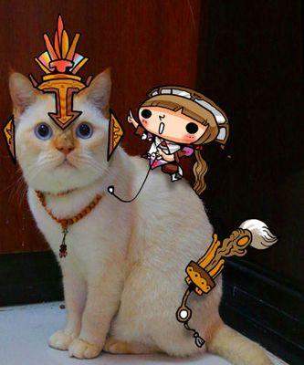 《梦回凤歌》游戏宫廷御猫，带你体验古代宫廷猫咪的奢华生活（游戏中的御猫养成）