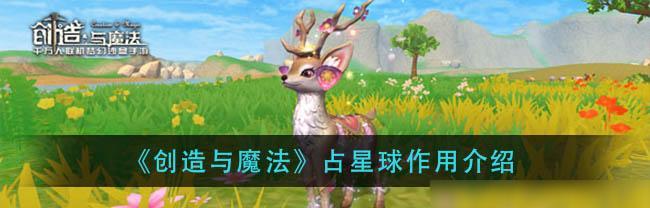 探索魔法贝雅书馆的神秘之旅（畅游奇幻世界）