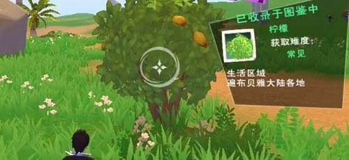 探索魔法贝雅书馆的神秘之旅（畅游奇幻世界）