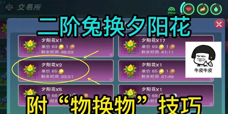 《探寻魔法夕阳花的奇幻之旅》（魔法夕阳花的位置详情一览）
