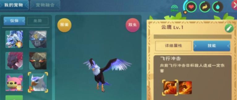 创造与魔法夏日派对服装（欢迎来到魔法世界）