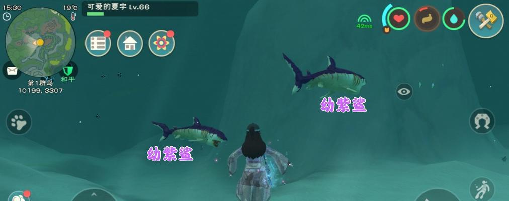 创造与魔法鲨鱼饲料的秘密（打造完美配方）