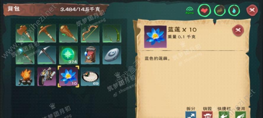 创造与魔法鲨鱼饲料的秘密（打造完美配方）