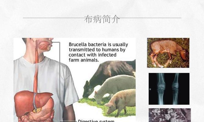 枪火战神布鲁攻略：重装英雄布鲁怎么玩？常见问题解答