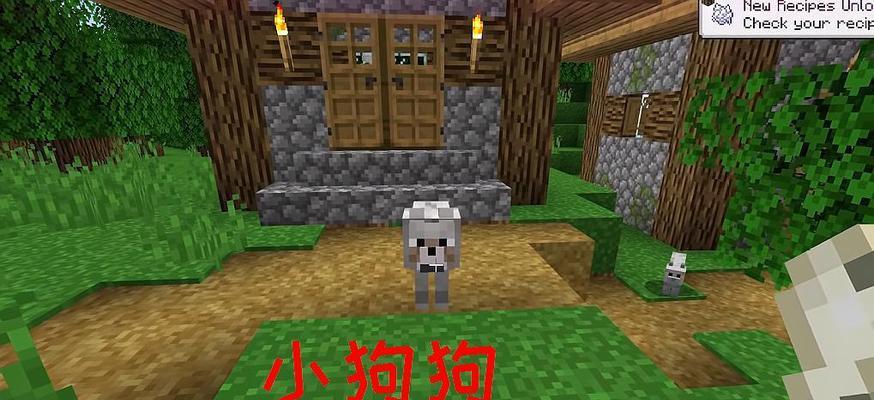 我的世界的狗狗怎么生产？如何繁殖和获取更多的狗狗？