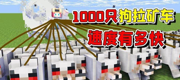 我的世界的狗狗怎么生产？如何繁殖和获取更多的狗狗？