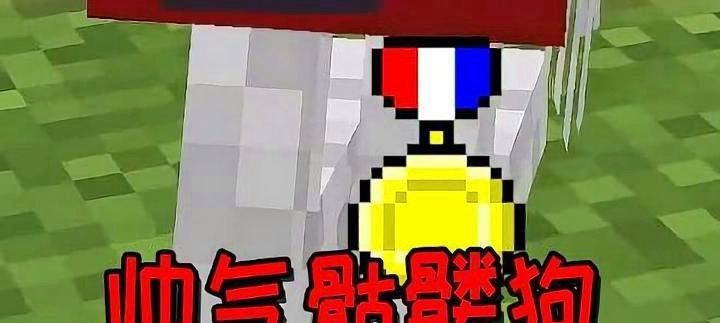 我的世界中如何实现变成狗狗的变身效果？