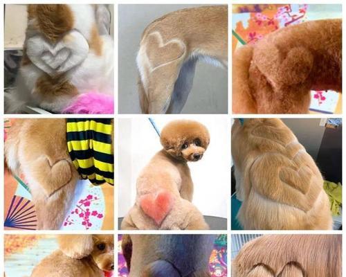 狗子染色效果如何实现？操作步骤是什么？