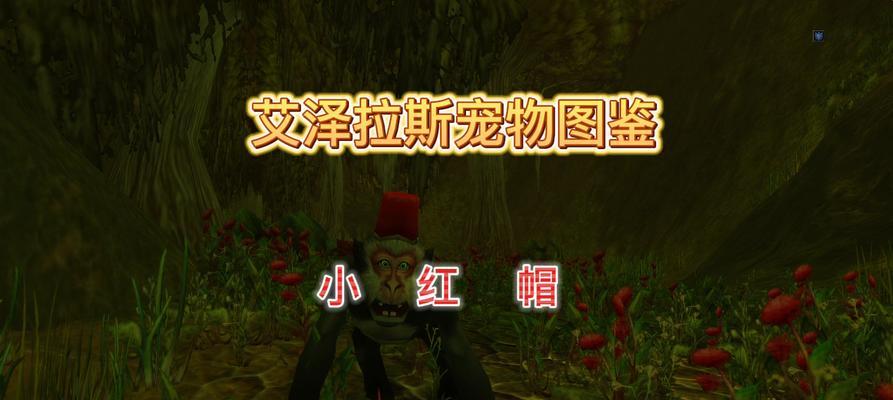 魔兽世界野外怎么抓宠物？抓捕稀有宠物的技巧是什么？