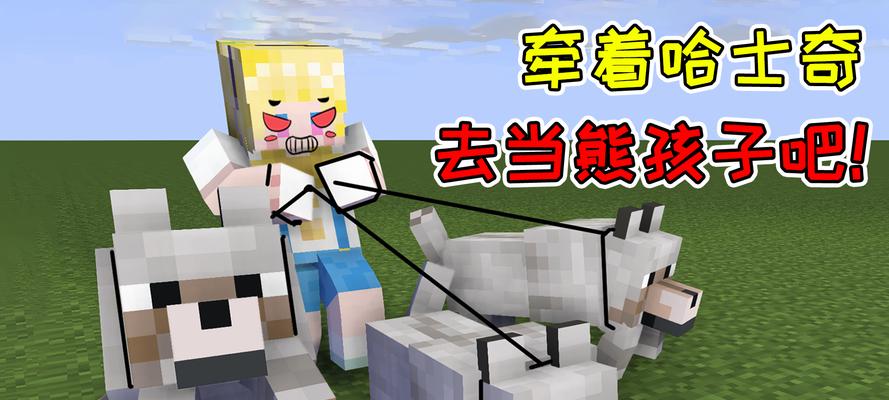 我的世界中宠物如何生存？需要哪些条件？