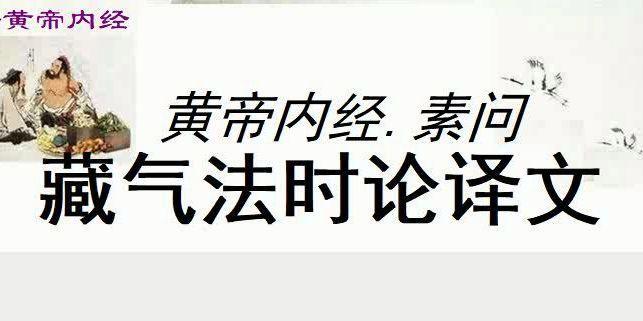 问道中如何快速搜索物品信息？有哪些技巧？