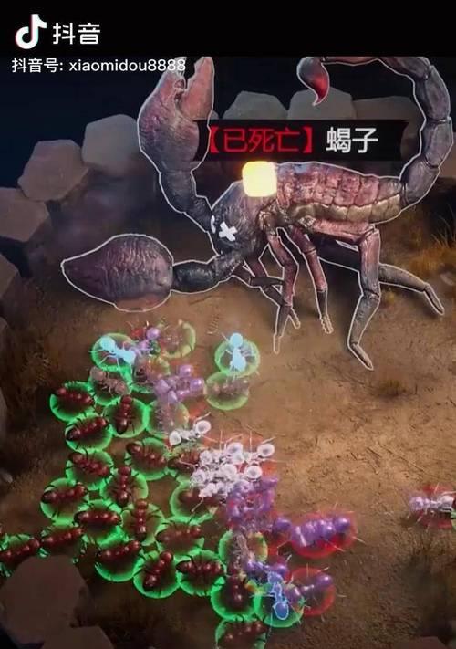 地下城手游沙蚁刷哪个图？沙蚁掉落物品有哪些？