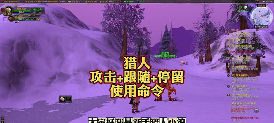 魔兽世界中宠物战斗的技巧是什么？