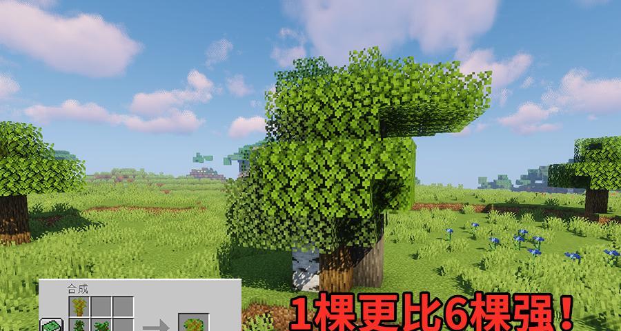 我的世界树苗成长需要什么条件？如何快速长大？