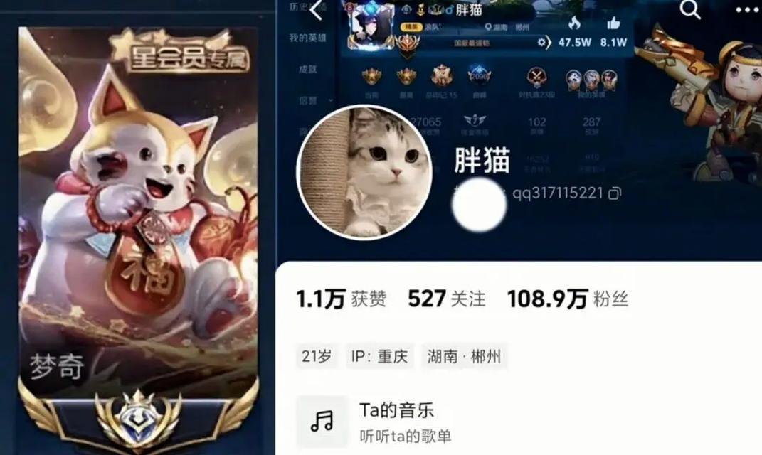 王者荣耀中的胖猫角色为何消失？胖猫的去向是什么？