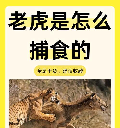 王者荣耀老虎野猪玩法解析？如何有效控制战场？