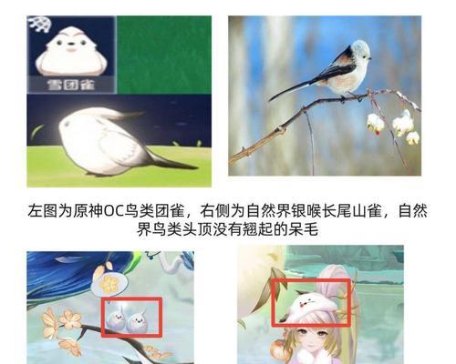 原神鸟类怪物在哪里可以遇到？如何击败它们？