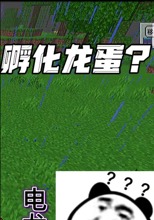我的世界手机版孵化龙蛋的步骤是什么？