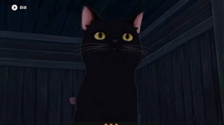 原神中黑色小猫的捕捉地点在哪里？如何成功捕捉黑色小猫？