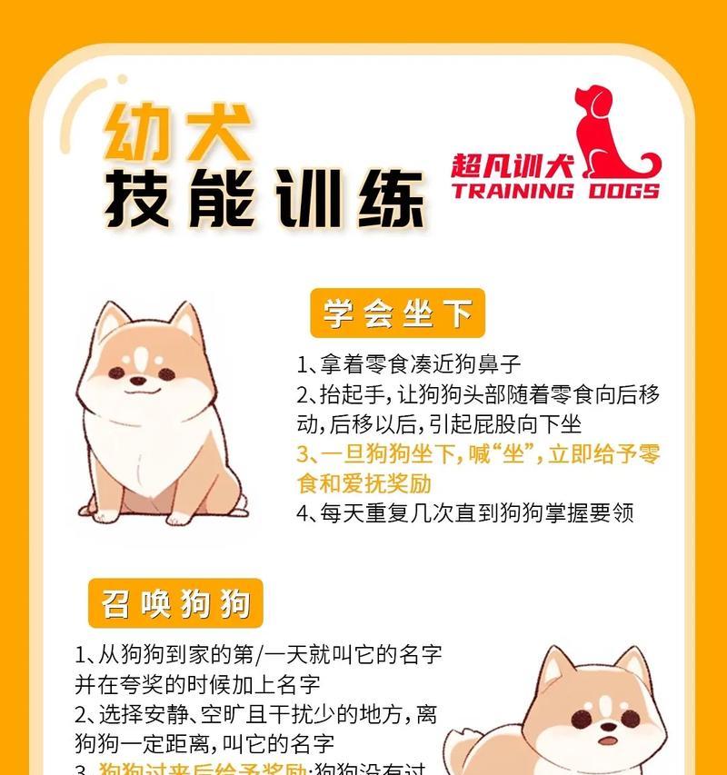 多技能宠物技能搭配的策略是什么？