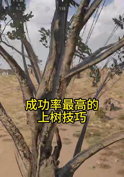 攀爬拉人技巧在绝地求生中如何应用？