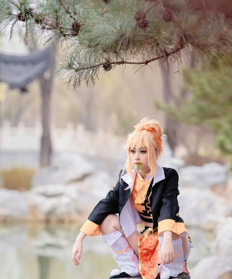 王者荣耀中姬小满的分数是多少？如何获得高分？