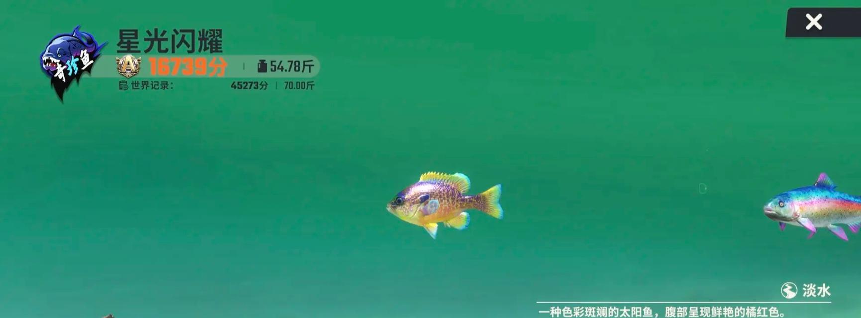 迷你世界钓鱼大师玩法有哪些技巧？