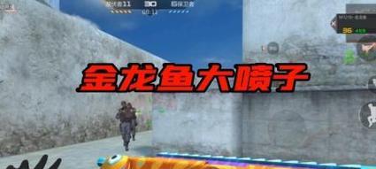 手游CF中哪些喷子枪械性能更优？如何选择？