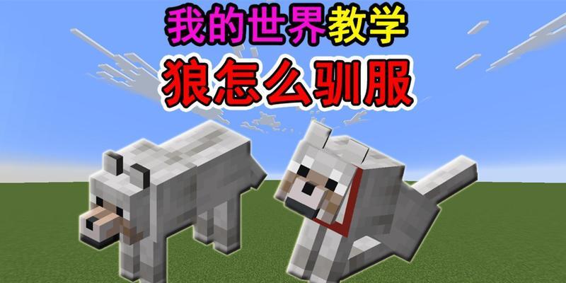 在《我的世界》中驯服狼的方法是什么？需要哪些材料？