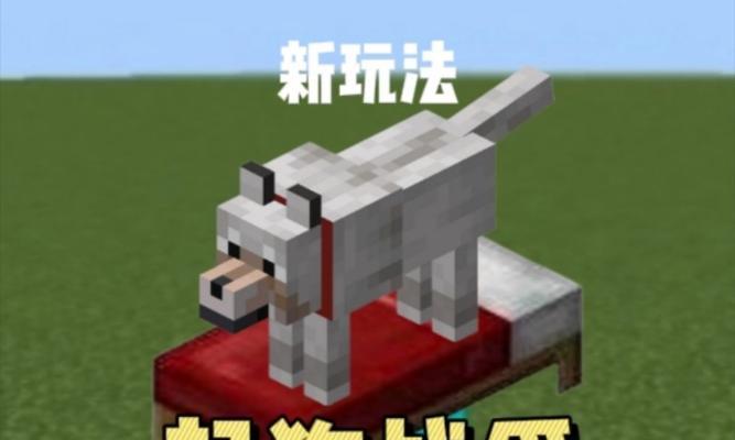 我的世界狗的喂养方法是什么？如何训练狗进行战斗？
