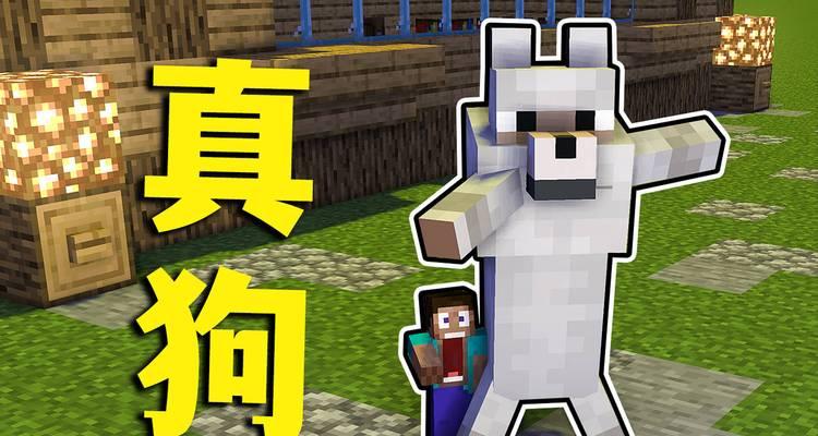 我的世界狗的喂养方法是什么？如何训练狗进行战斗？