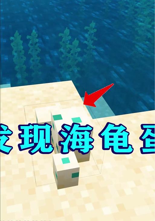 海龟怎么升级我的世界？海龟升级的正确方法是什么？
