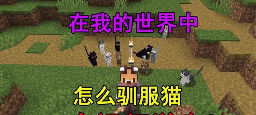 我的世界中小猫如何驯服？驯服后有什么好处？