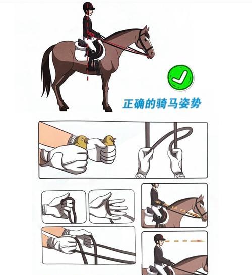 骑术技能栏设置方法是什么？