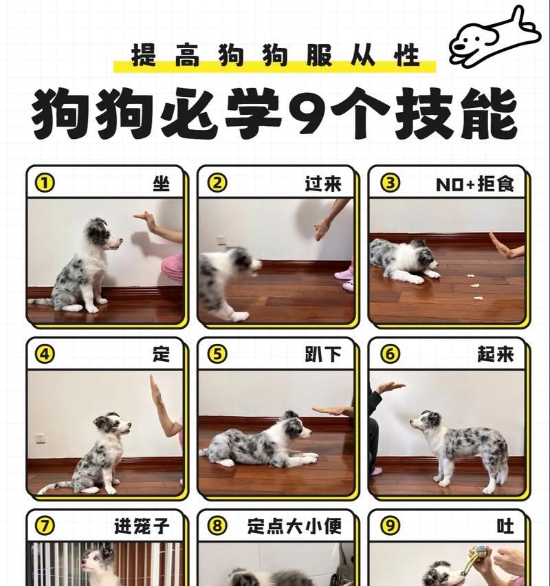 好狗不挡道成就完成步骤是什么？