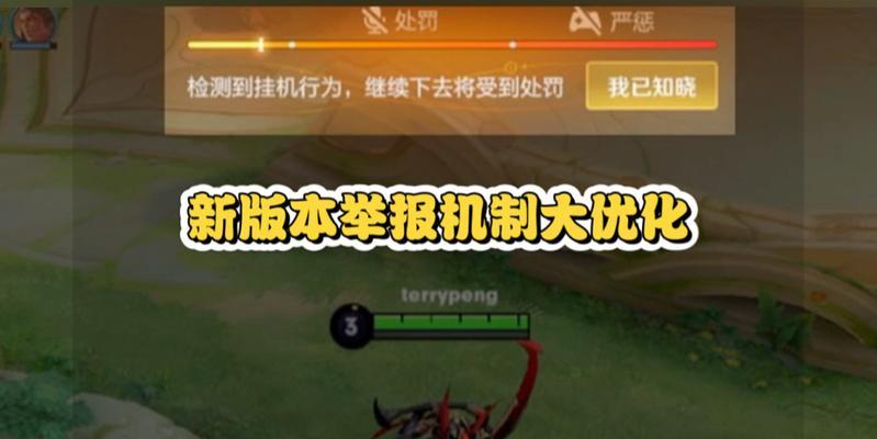 在王者荣耀中如何进行举报？举报的流程是什么？